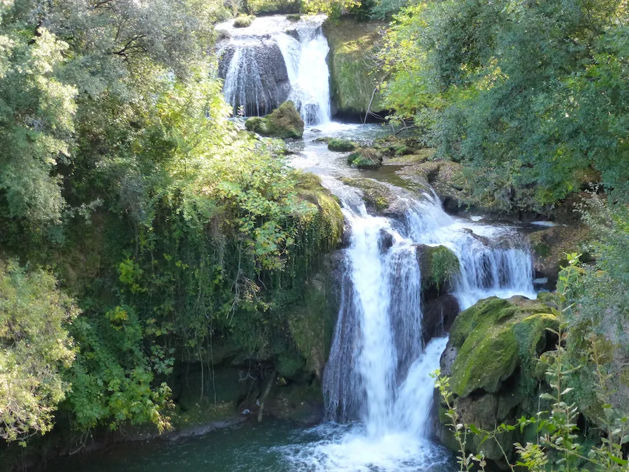 Cascade dans la nature - Le pardon de soi et l'accueil de ce qui est vivant en nous, approche Maïeusthésie